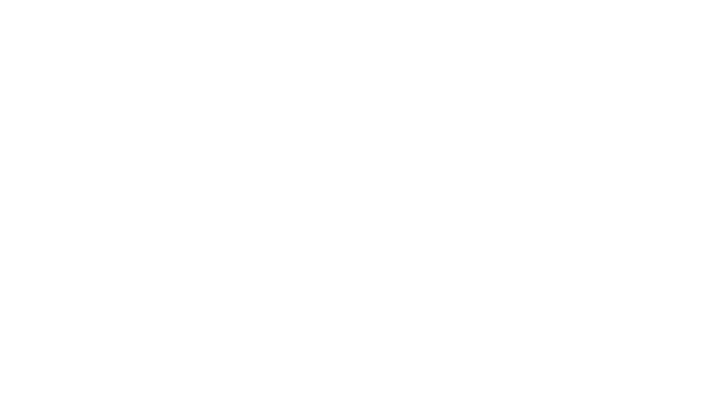 WordPress Logo 2